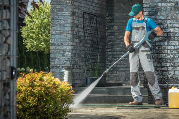 Best Driveway Pressure Washing  in Elm Springs, AR