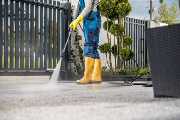 Best House Exterior Washing  in Elm Springs, AR